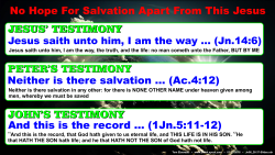 Jn.6, Salvation Only in Christ