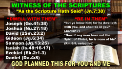 Witness of the Scriptures