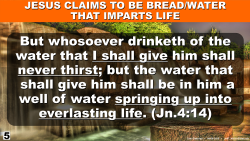 Jesus Bread/Water Life