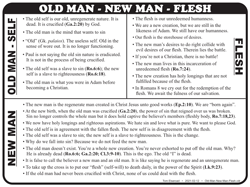 Old Man - New Man - Flesh