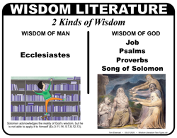 Wisdom Literature Types