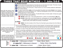 Witness (5:6-8)
