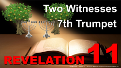 Two Witnesses (Rv.11)