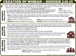 Creation of Woman (2:18-25)