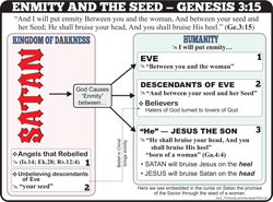 Enmity & Seed (3:15)