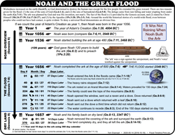 Flood Timeline (Ge6-8)