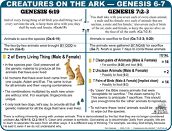 Creatures on the Ark (6-7)