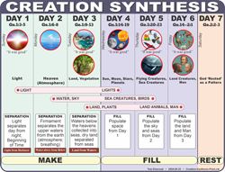 Creation Synthesis