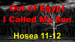 Hosea 11-12