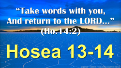 Hosea 13-14