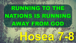 Hosea 7-8