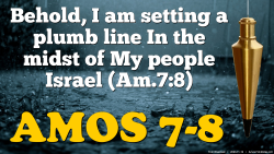Amos 7-8