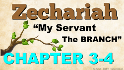 Zechariah 3-4