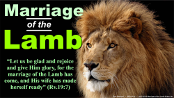 Marriage of The Lamb