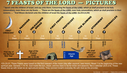 Feasts of the Lord Pictures