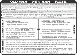 Old Man-New Man-Flesh