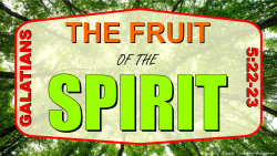 Fruit of the Spirit (Ga.5:22-23)