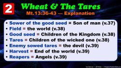 7 Kingdom Parables (Mt.13)