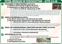 Peter Message (2:14-40)