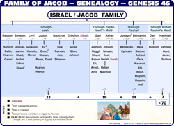 Jacob Genealogy (Ge.46)